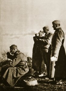 Rückzug: Nahaufnahme eines Balkan-Königs